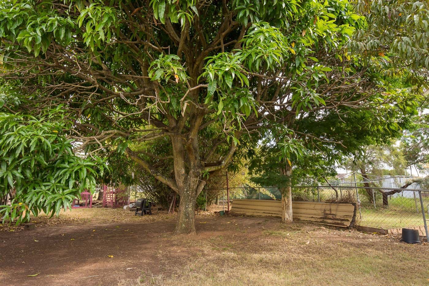 82 Selina Street, Wynnum QLD 4178, Wynnum - Thumbnail 8