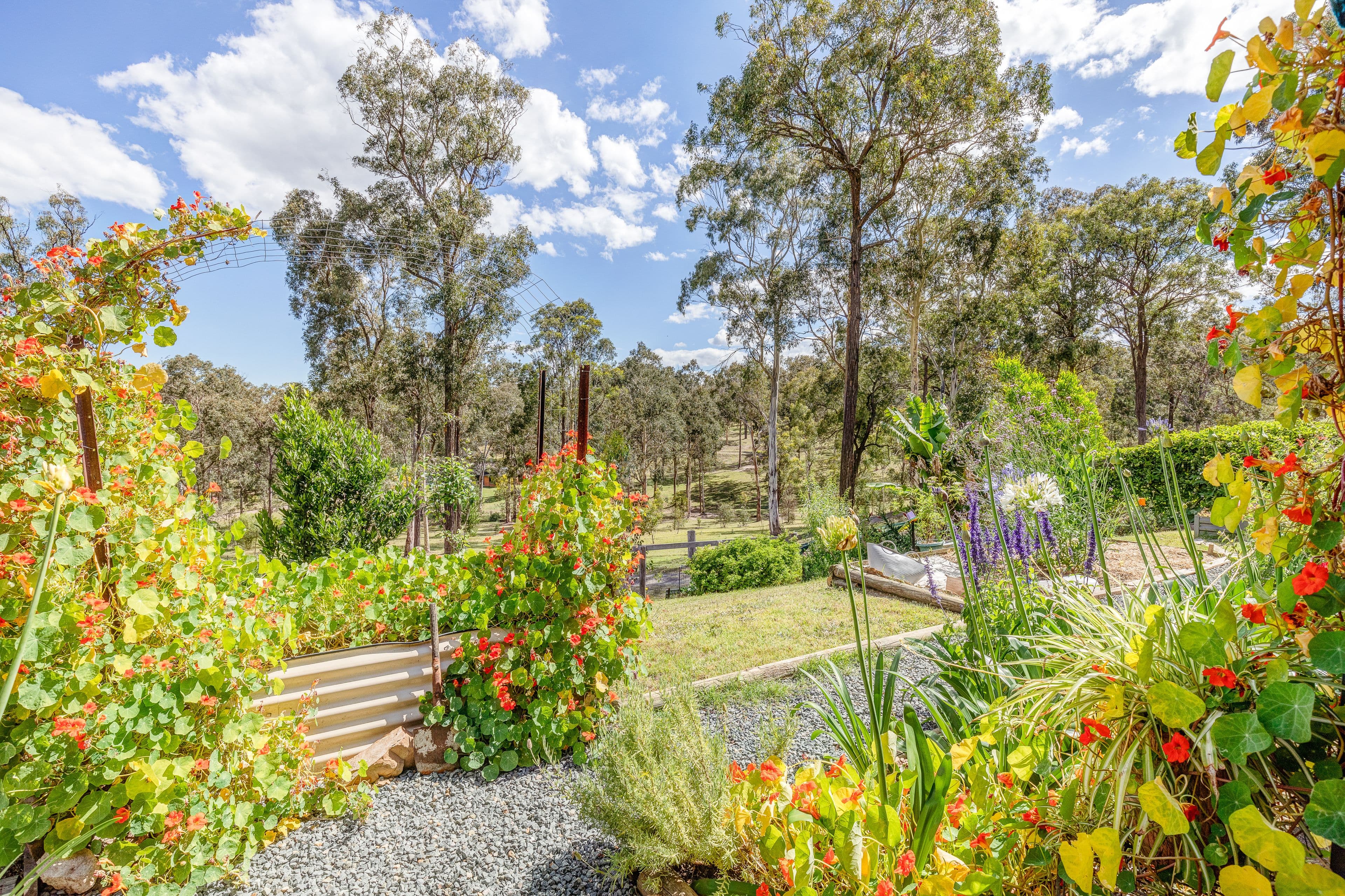 82 Sheriff Street, Clarence Town NSW 2321, Clarence Town - Thumbnail 8