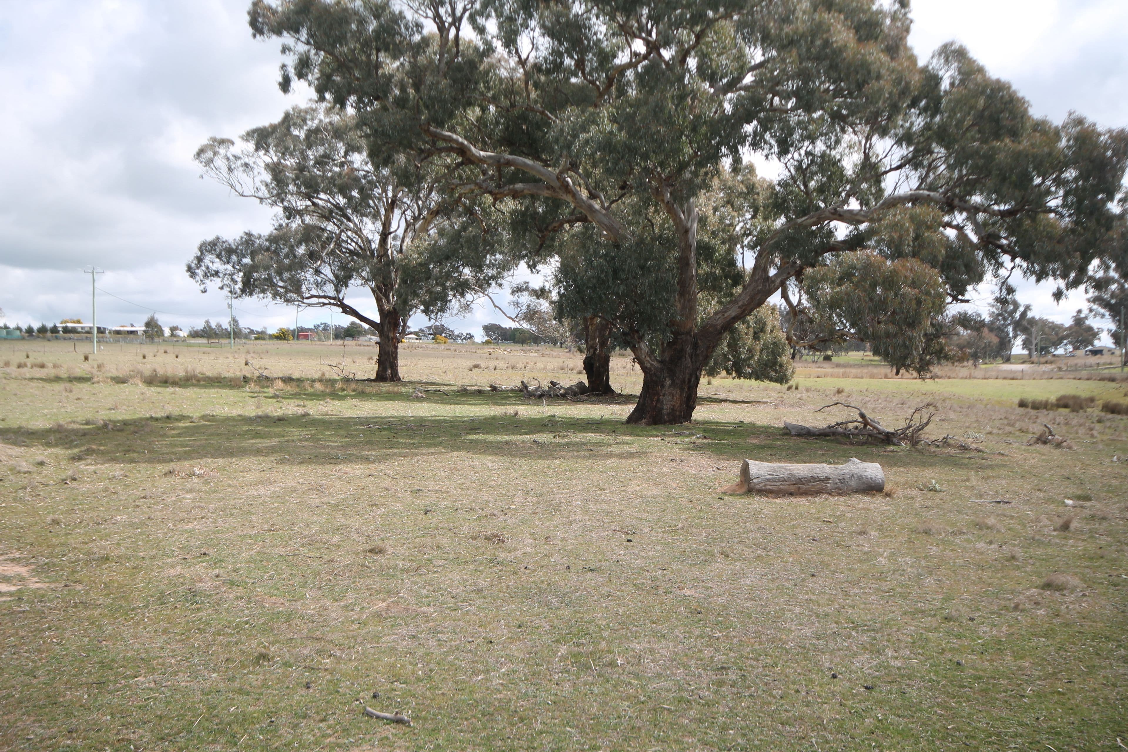 55 Dowling Drive Murringo Via, YOUNG NSW 2594, Young - Thumbnail 4
