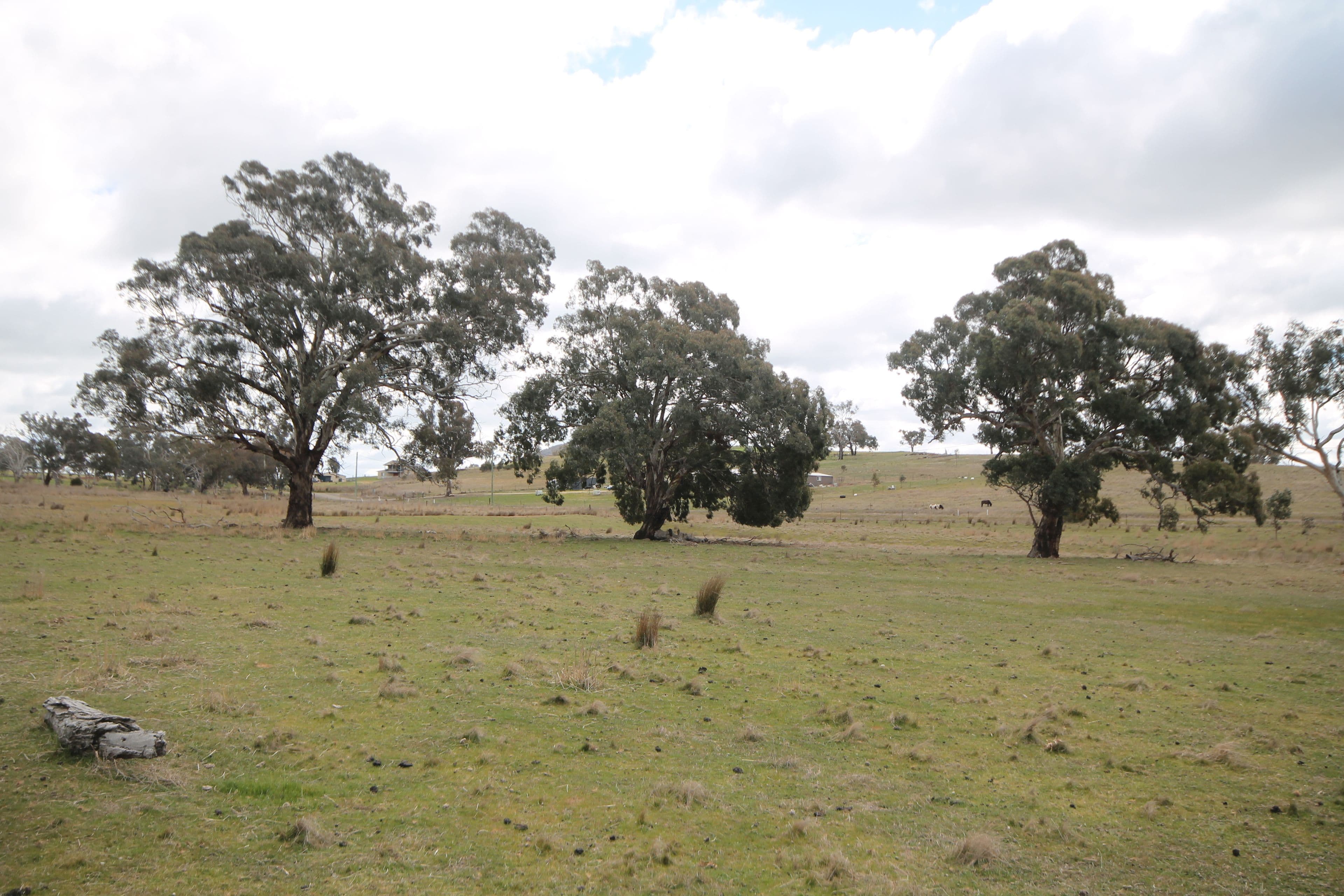 55 Dowling Drive Murringo Via, YOUNG NSW 2594, Young - Thumbnail 5