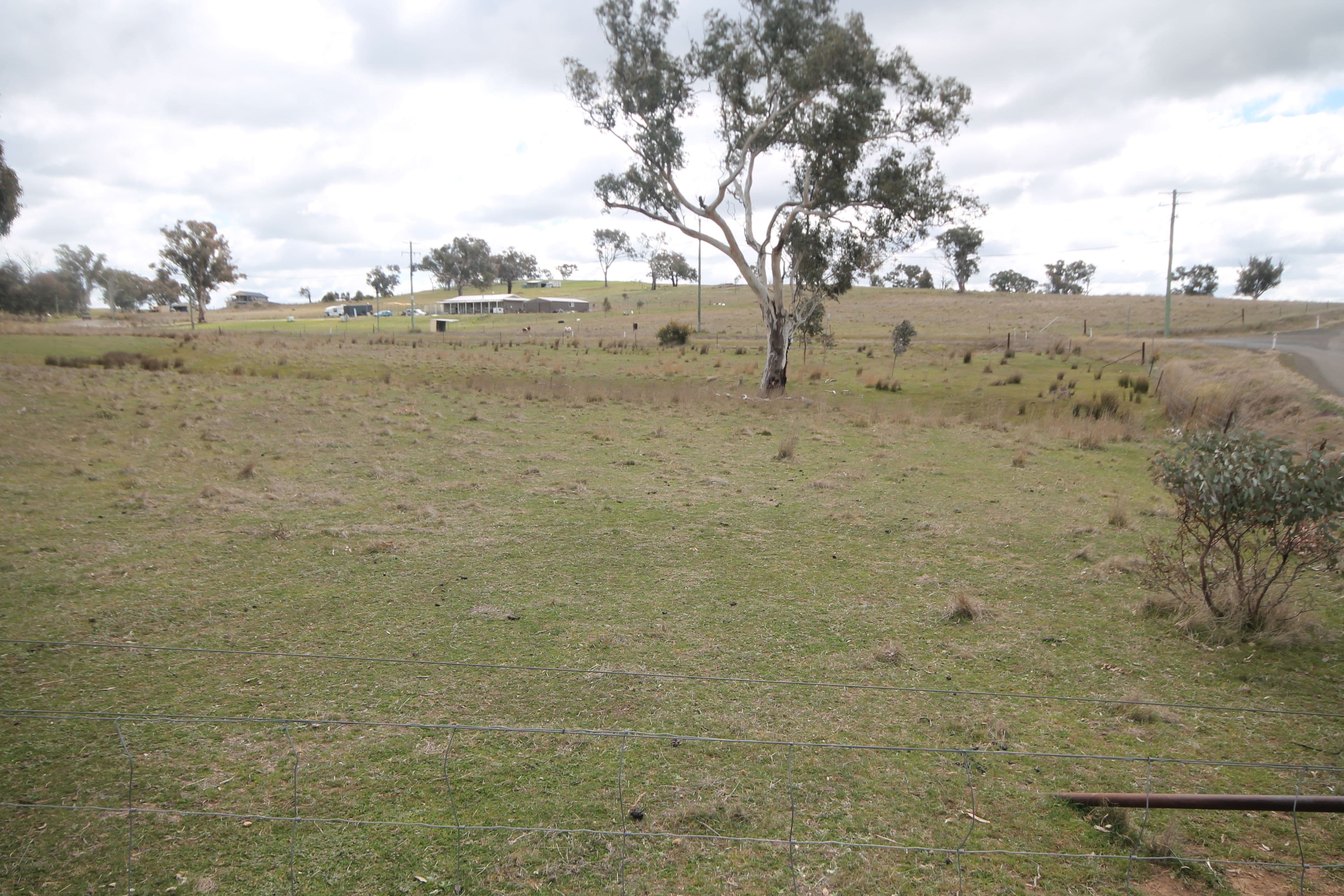 55 Dowling Drive Murringo Via, YOUNG NSW 2594, Young - Thumbnail 7
