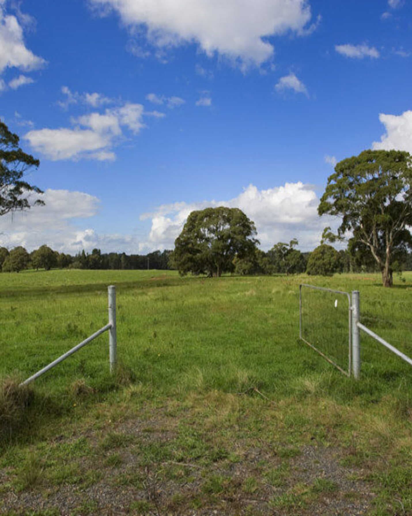Lot 1 Bumballa Road Wingello, Wingello - Image 1