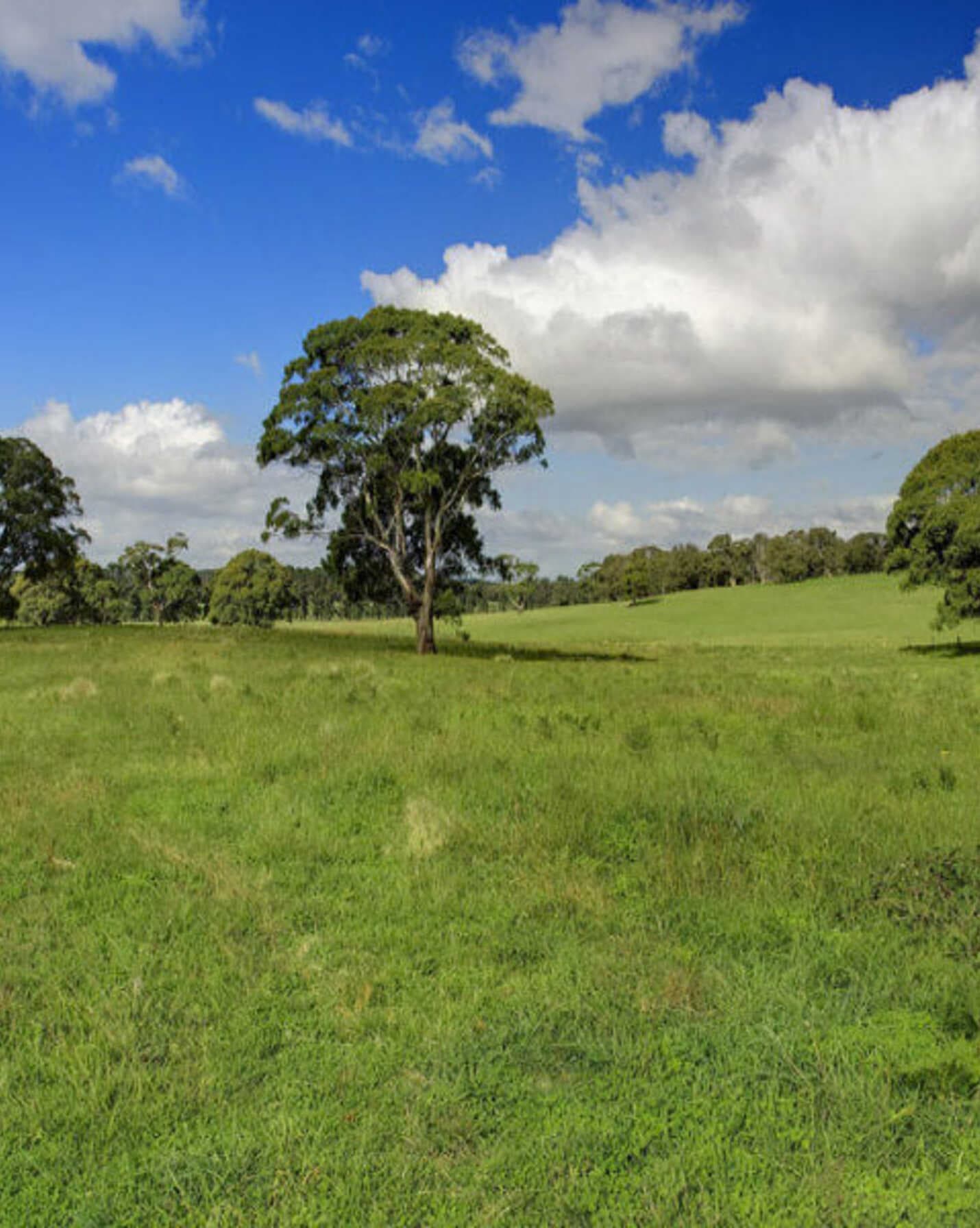 Lot 1 Bumballa Road Wingello, Wingello - Thumbnail 3