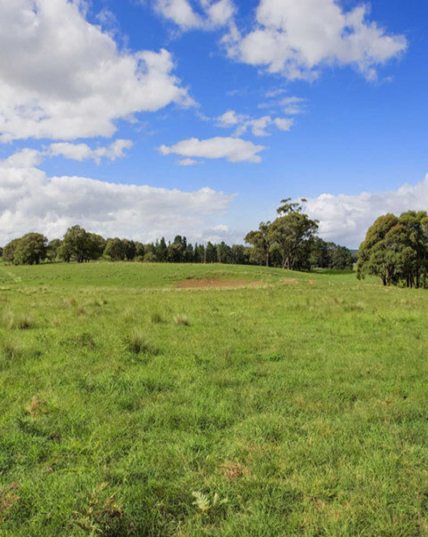 Lot 1 Bumballa Road Wingello, Wingello - Thumbnail 6