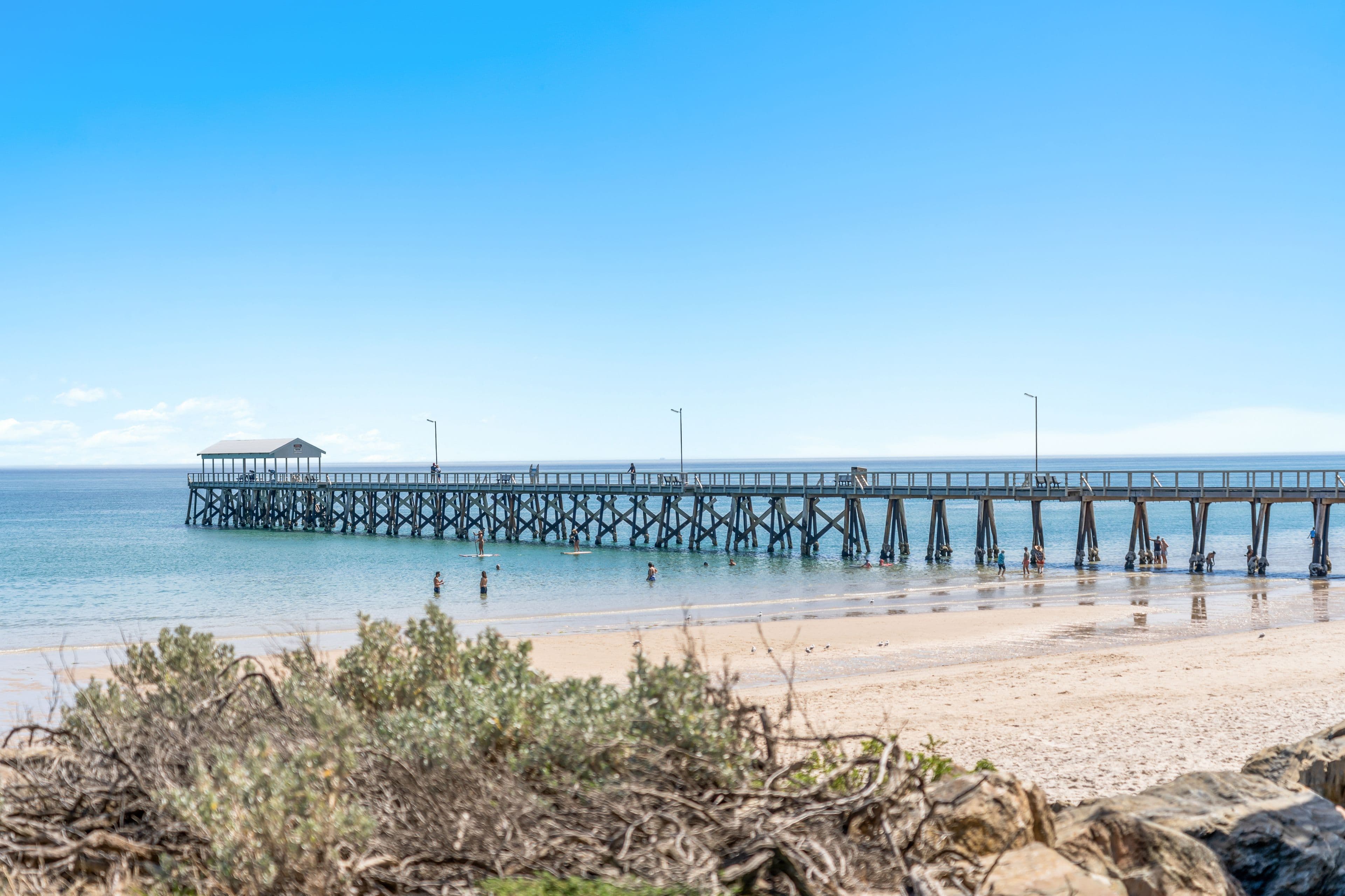 382A Seaview Road, Henley Beach SA 5022, Henley Beach - Thumbnail 4