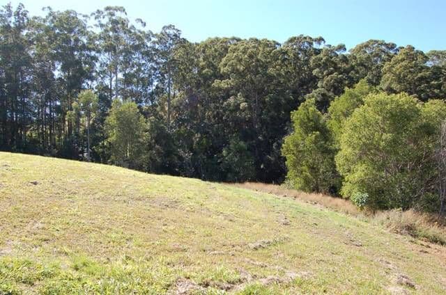 14 Naturalist Place, DOONAN QLD 4562, Doonan - Image 1