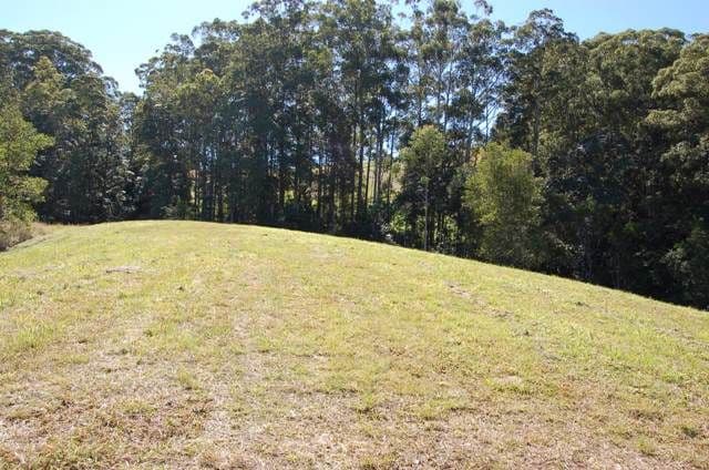 14 Naturalist Place, DOONAN QLD 4562, Doonan - Thumbnail 2
