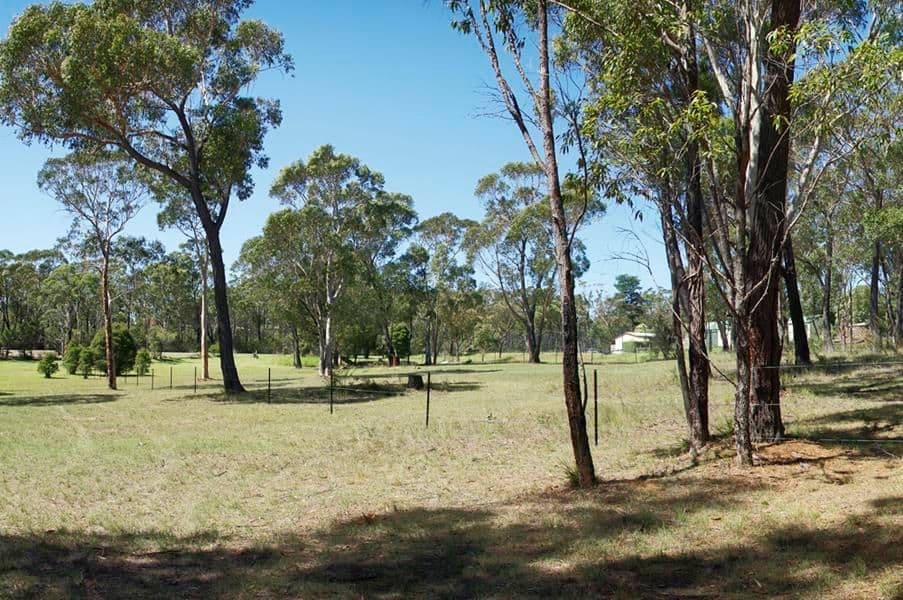 59 West Parade, HILL TOP NSW 2575, Hill Top - Thumbnail 3