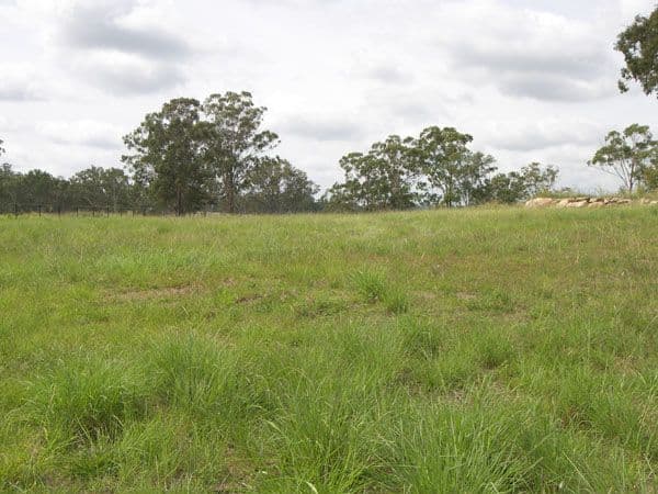 71 Panorama Drive, BEAUDESERT QLD 4285, Beaudesert - Thumbnail 2