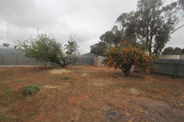 4 Pearce Crescent, Cleve SA 5640, Cleve - Thumbnail 3
