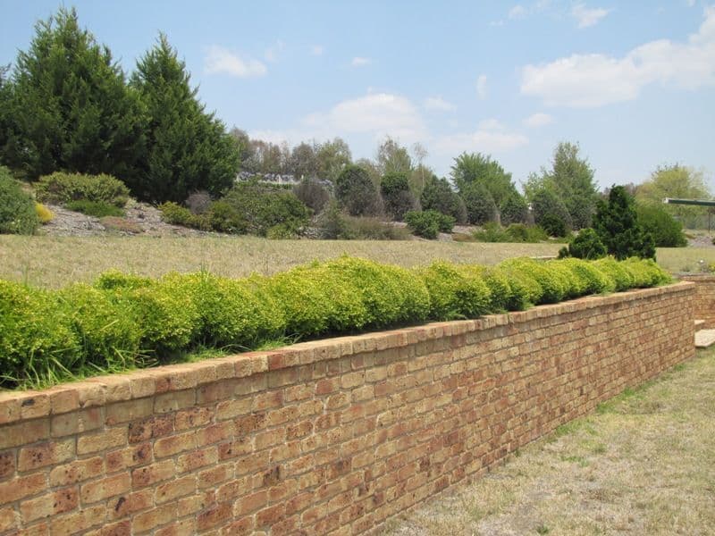180 Hartwood Avenue, ROBIN HILL NSW 2795, Robin Hill - Thumbnail 3