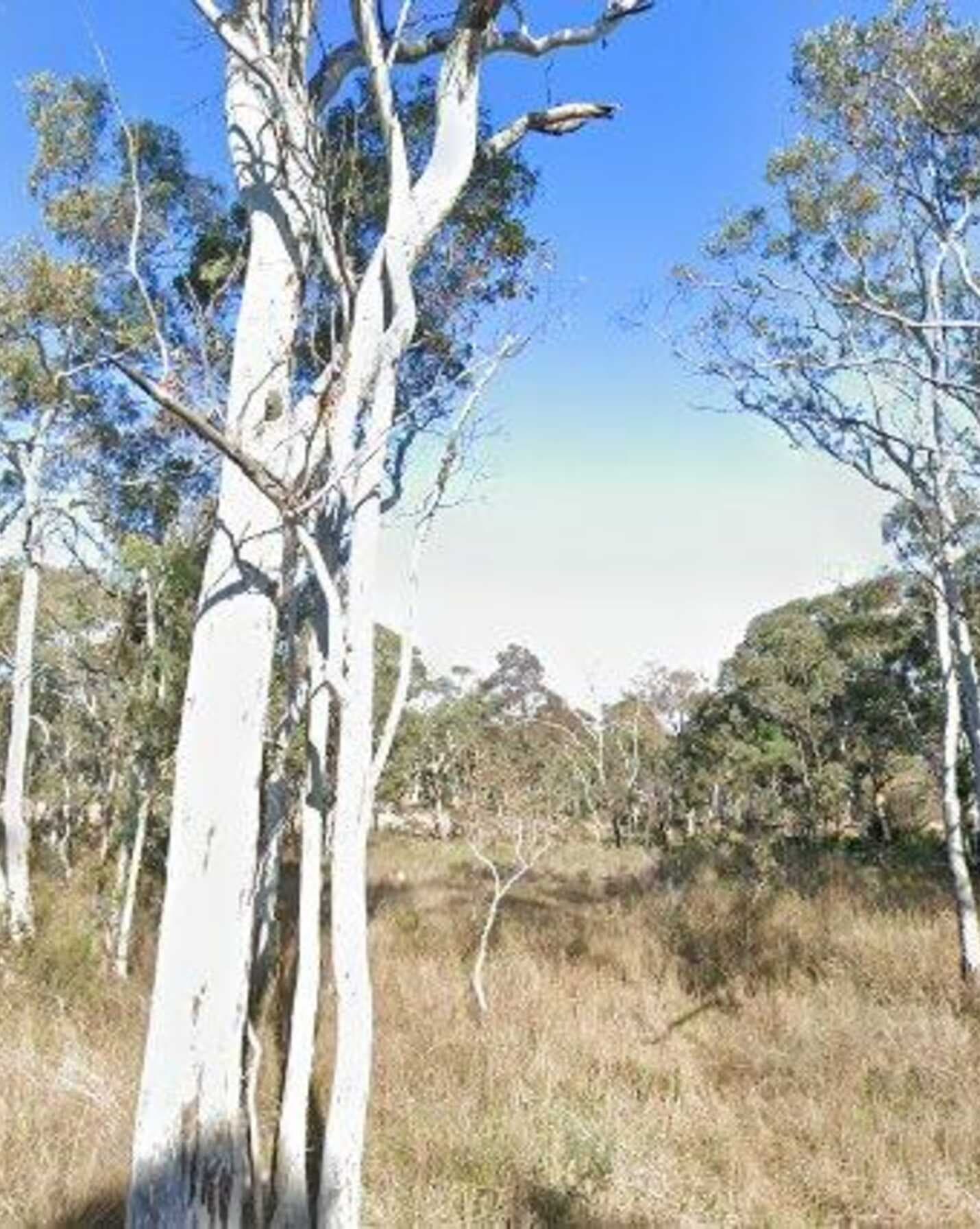 13 Castlereagh Highway Capertee, Capertee - Image 1