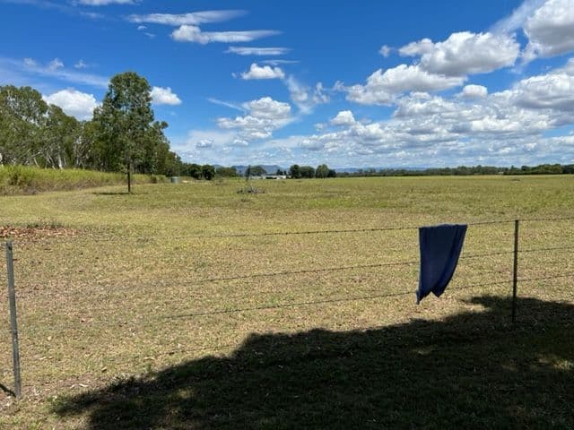 104 Haberecht Road, Majors Creek QLD 4816, Majors Creek - Thumbnail 5