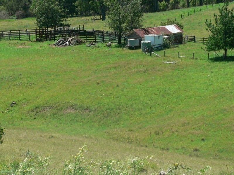 BUNDOOK NSW 2422, Bundook - Thumbnail 2