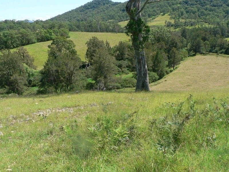 BUNDOOK NSW 2422, Bundook - Thumbnail 5