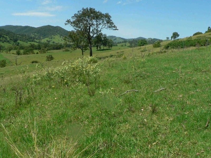 BUNDOOK NSW 2422, Bundook - Thumbnail 6