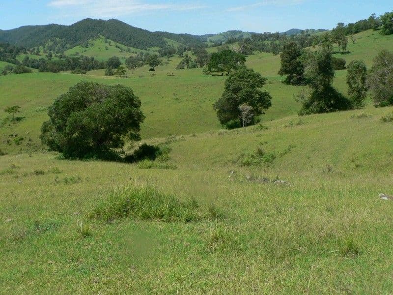 BUNDOOK NSW 2422, Bundook - Thumbnail 8