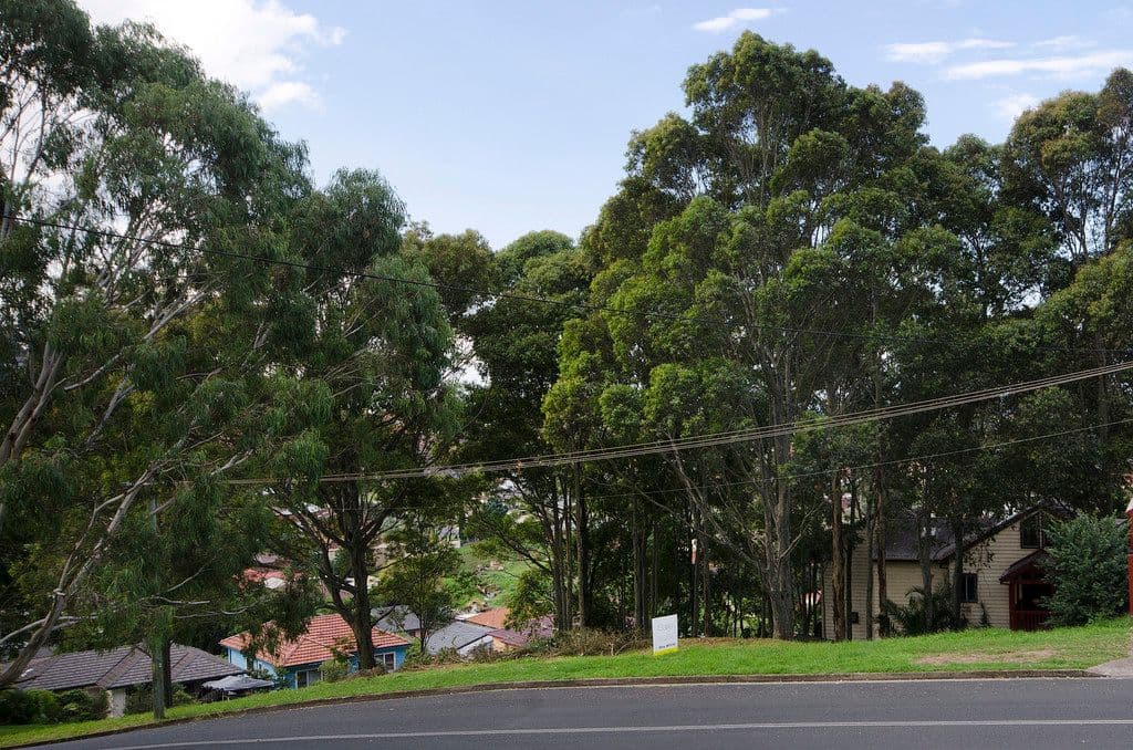 Lot 56 Corner Robertson St and Television Avenue, CONISTON NSW 2500, Coniston - Thumbnail 7