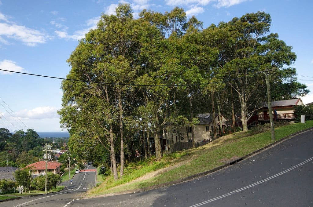 Lot 56 Corner Robertson St and Television Avenue, CONISTON NSW 2500, Coniston - Thumbnail 8