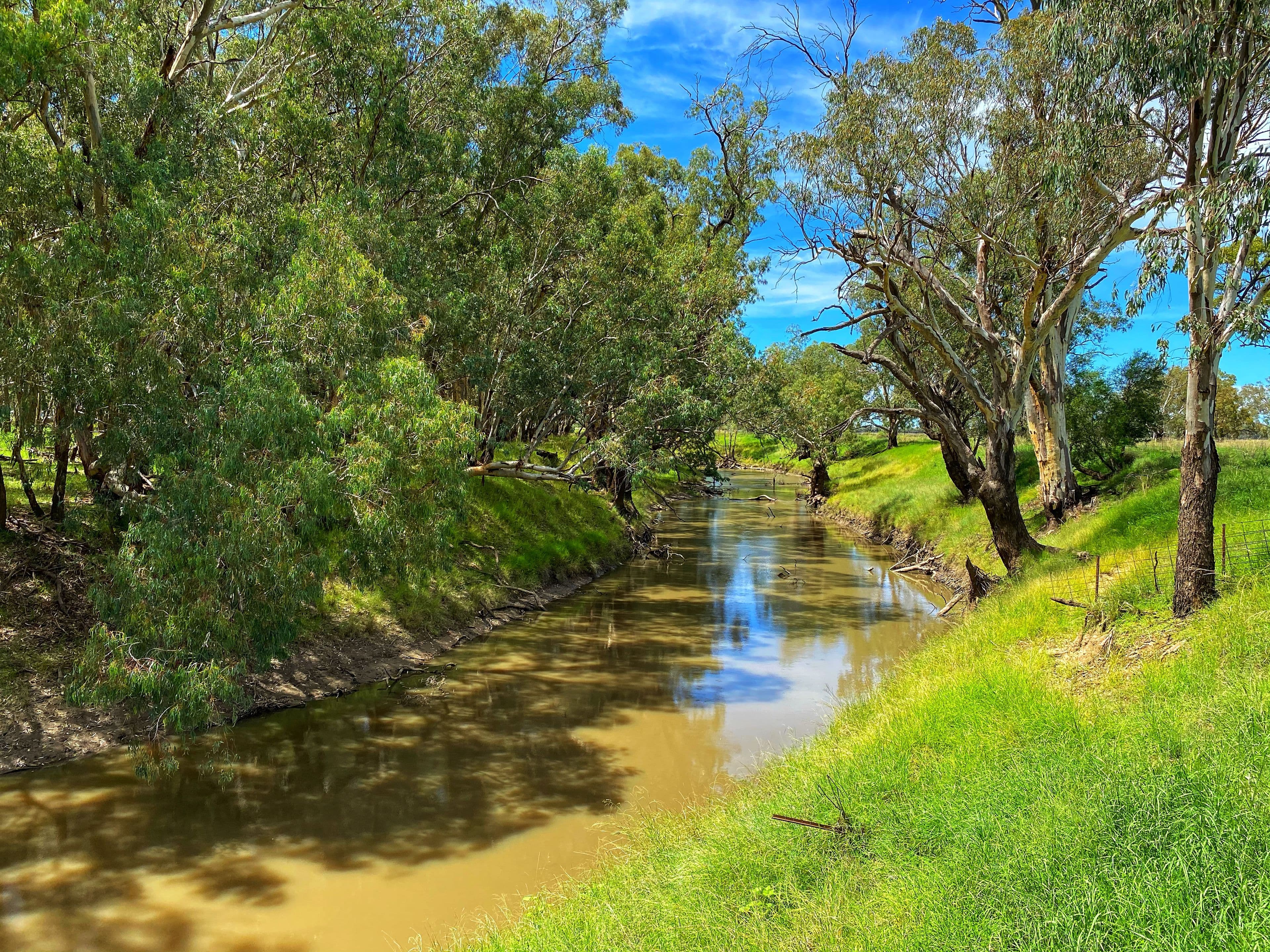 8648 Lachlan Valley Way, Condobolin NSW 2877, Condobolin - Thumbnail 2