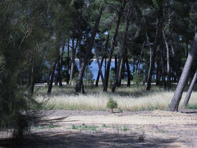 14 Riddell Road, HOLDEN HILL SA 5088, Holden Hill - Thumbnail 3