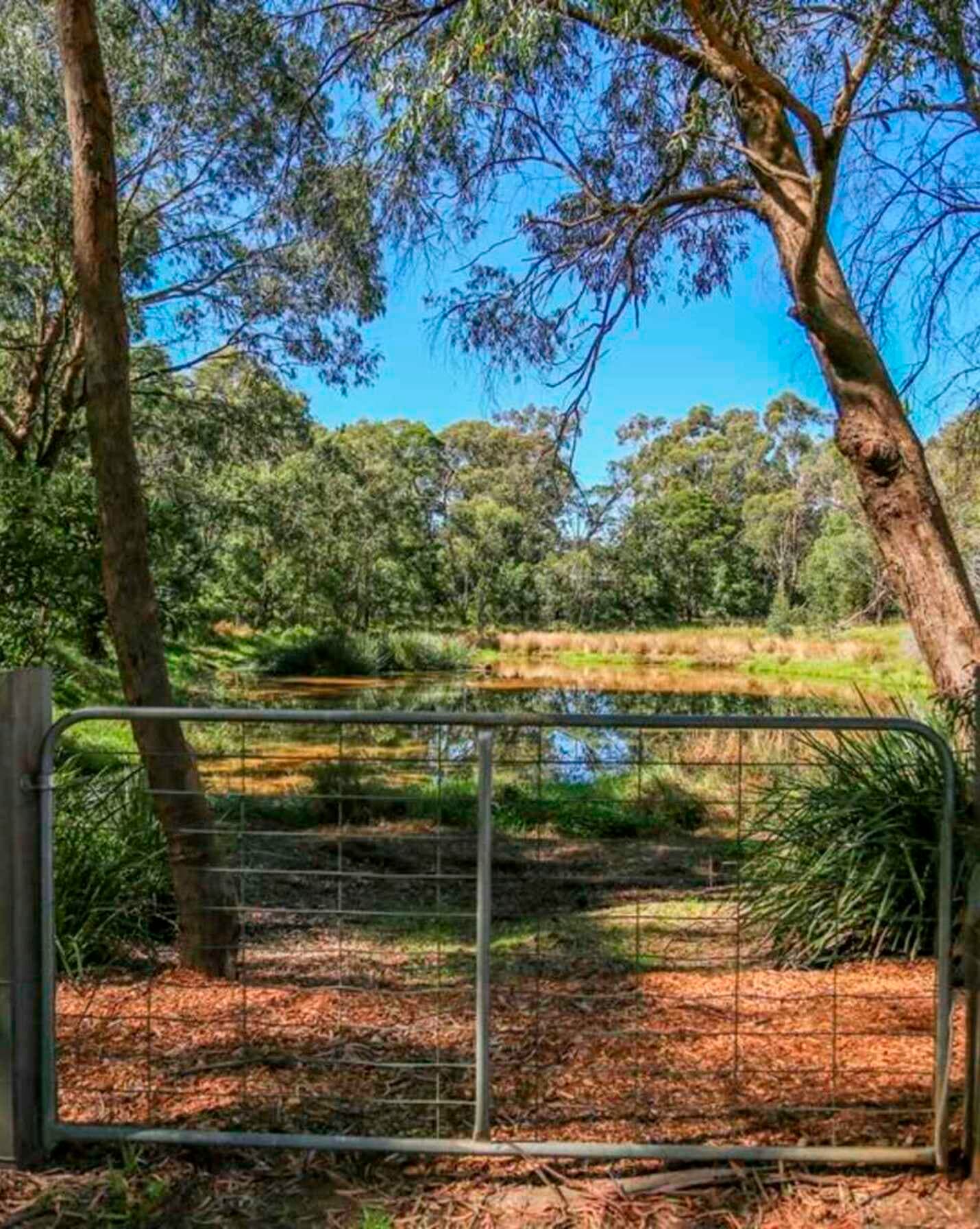 7a Elmswood Court Bundanoon, Bundanoon - Thumbnail 3