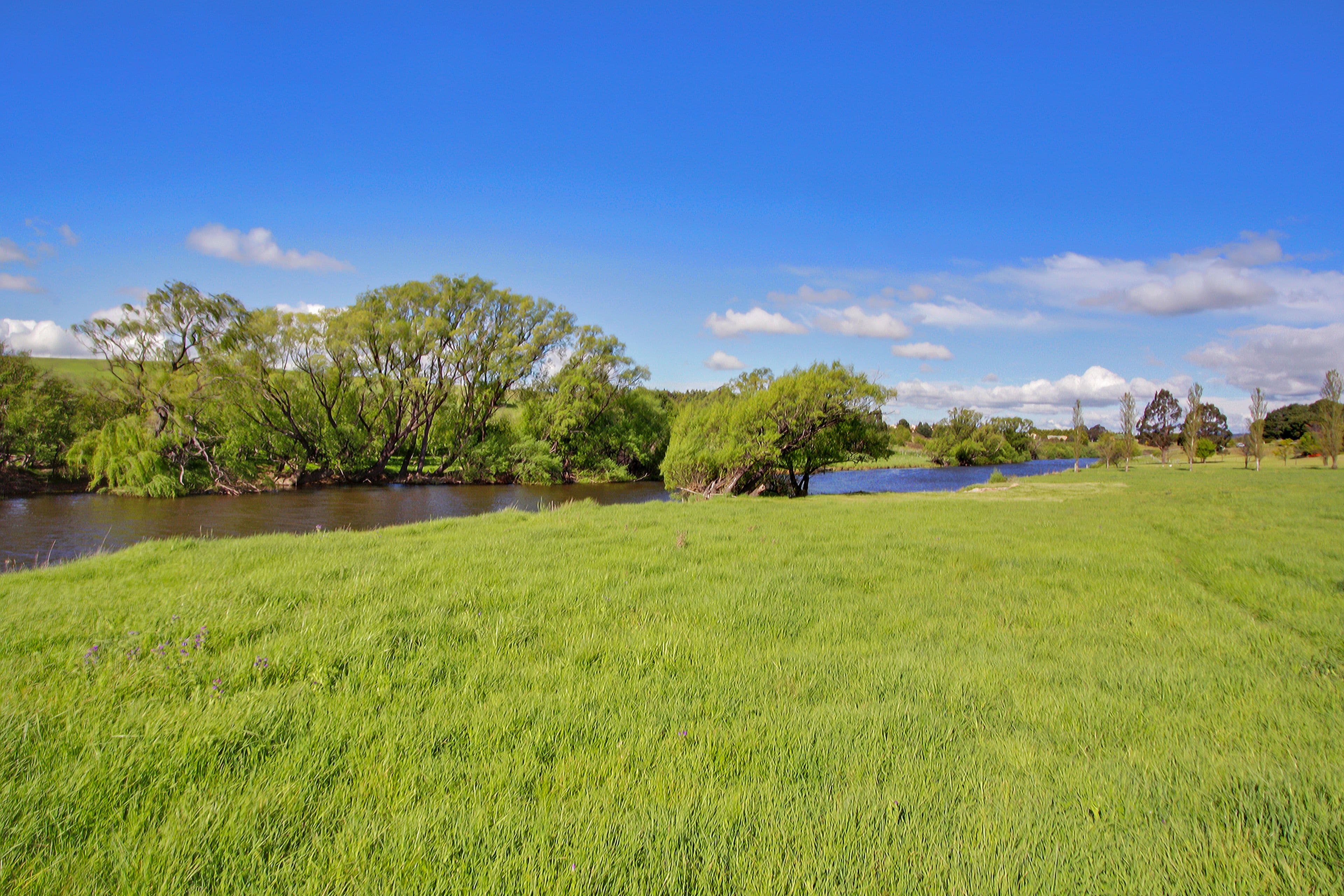 Lot 414 Ibis Road, GOULBURN NSW 2580, Goulburn - Thumbnail 8