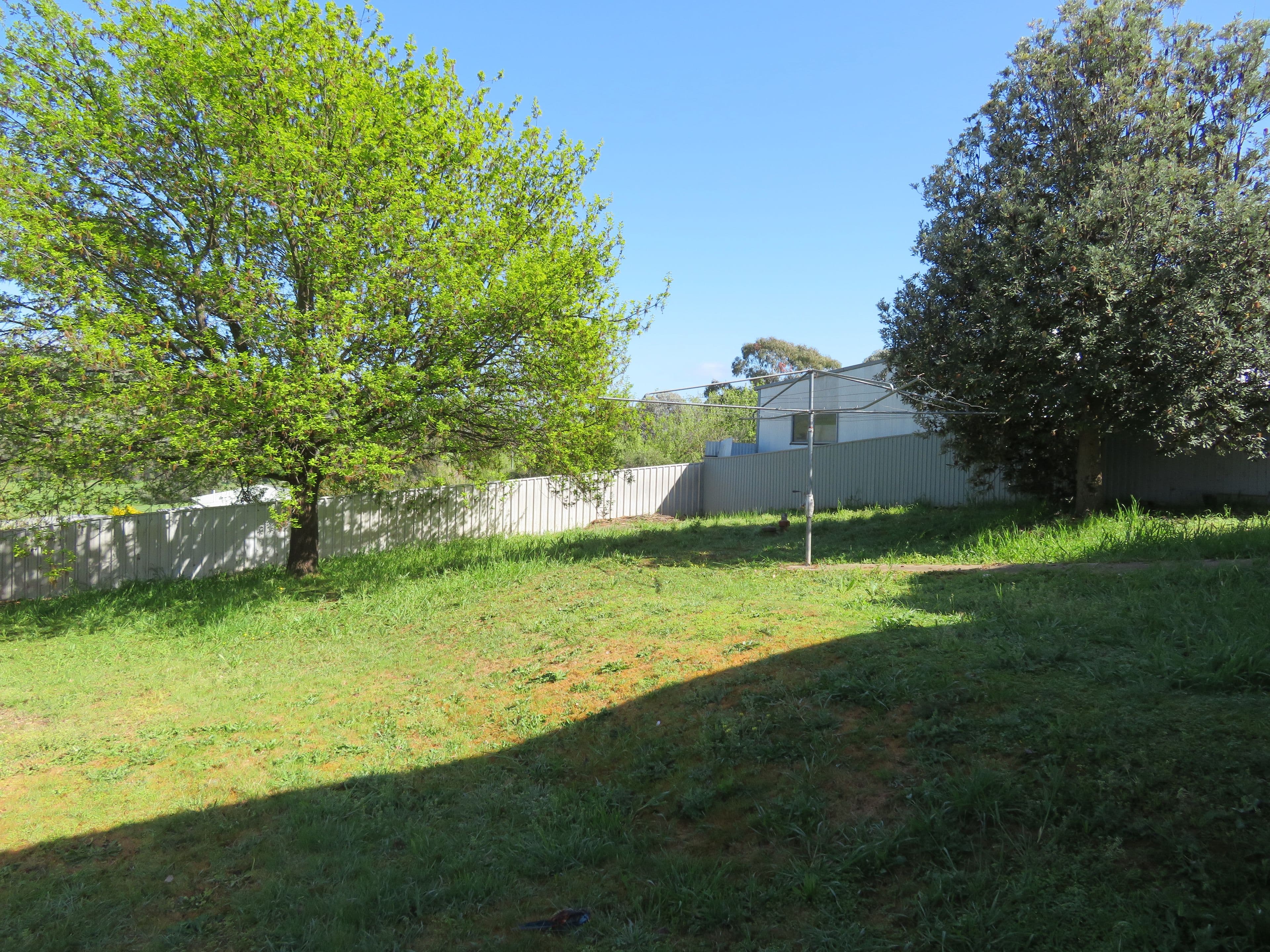 20 Tor Street, Gundagai NSW 2722, Gundagai - Thumbnail 7