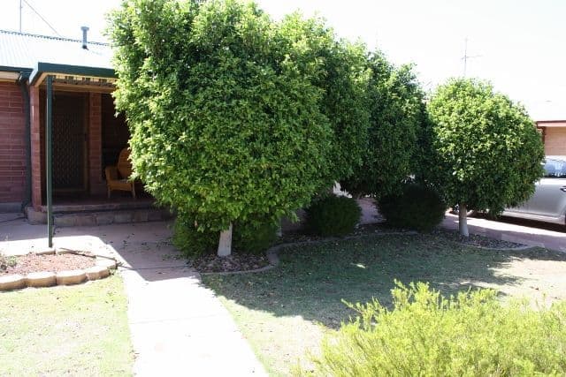 8 Yacca Street, Whyalla Stuart SA 5608, Whyalla Stuart - Thumbnail 2