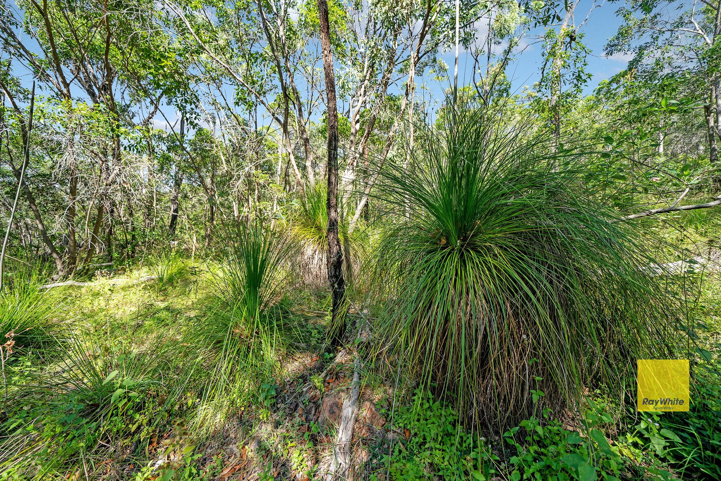 Lot 143 Josefski Road, Agnes Water QLD 4677, Agnes Water - Image 1
