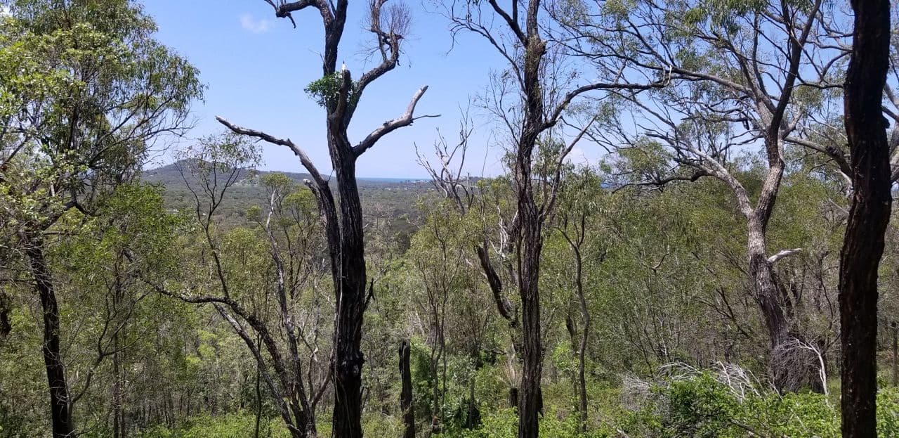 Lot 143 Josefski Road, Agnes Water QLD 4677, Agnes Water - Thumbnail 4