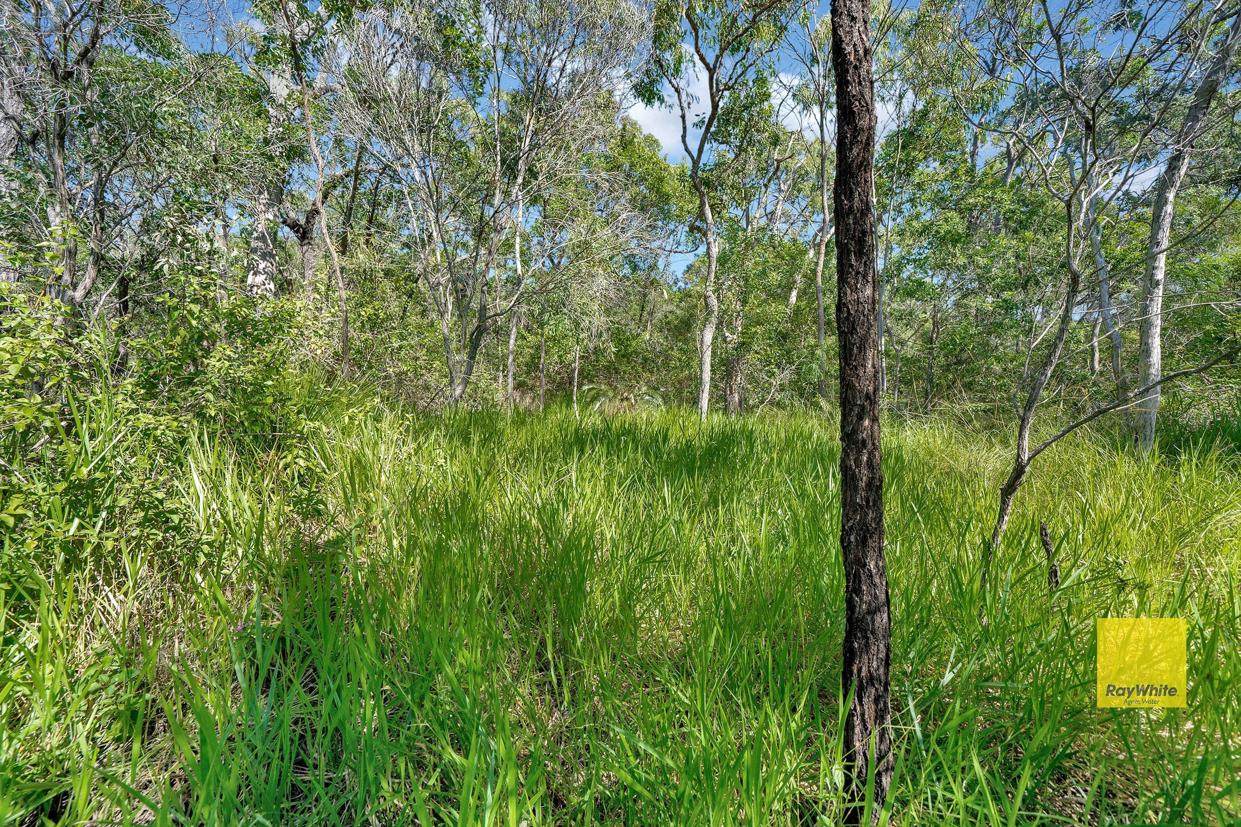 Lot 143 Josefski Road, Agnes Water QLD 4677, Agnes Water - Thumbnail 6