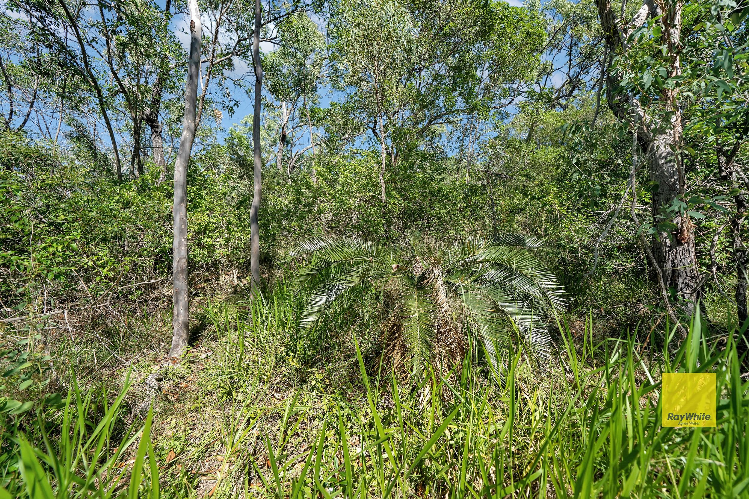 Lot 143 Josefski Road, Agnes Water QLD 4677, Agnes Water - Thumbnail 7