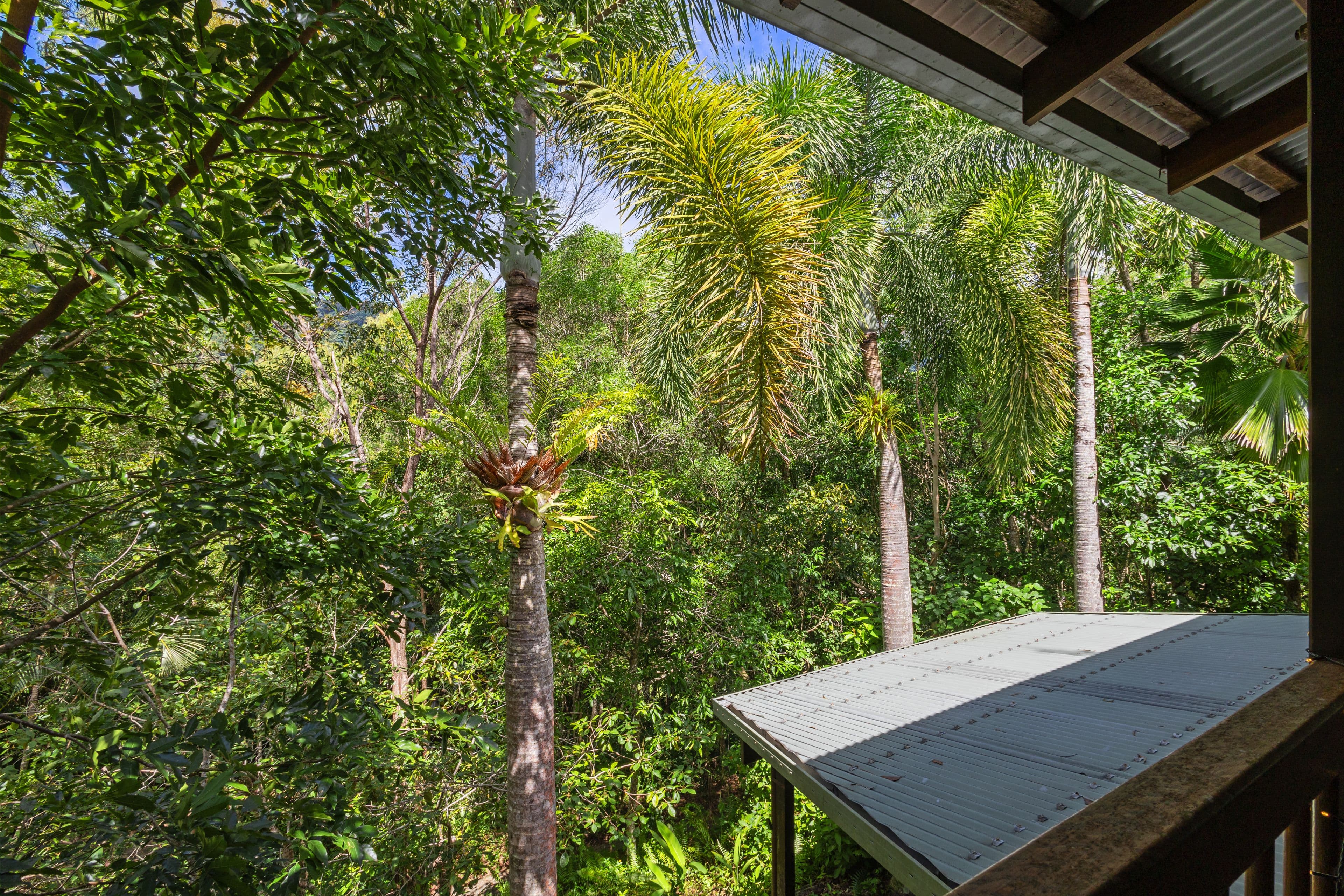 36B Grays Creek Terrace, Mowbray QLD 4877, Mowbray - Thumbnail 6