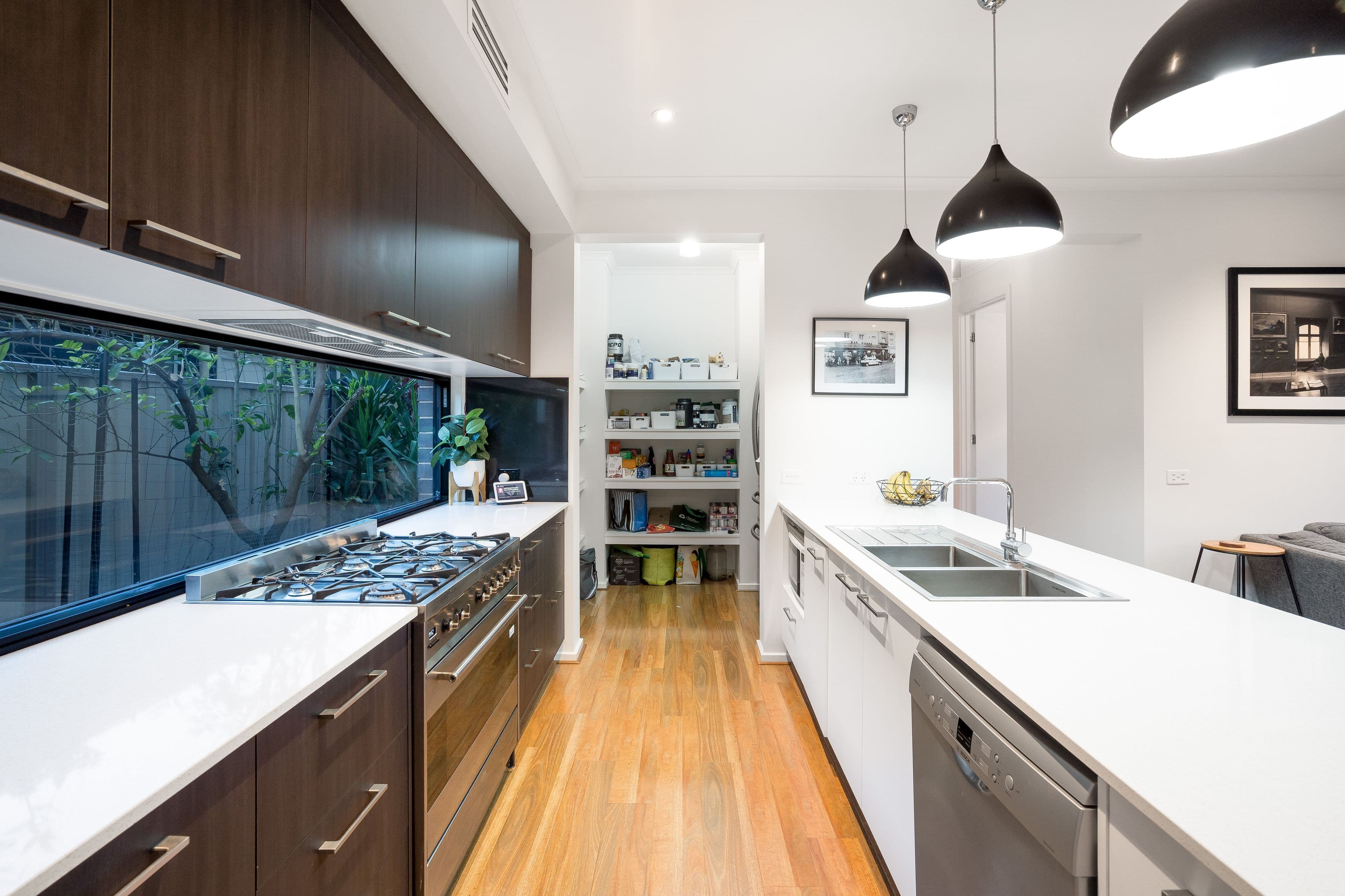 24 Redward Avenue, Lightsview SA 5085, Lightsview - Thumbnail 4