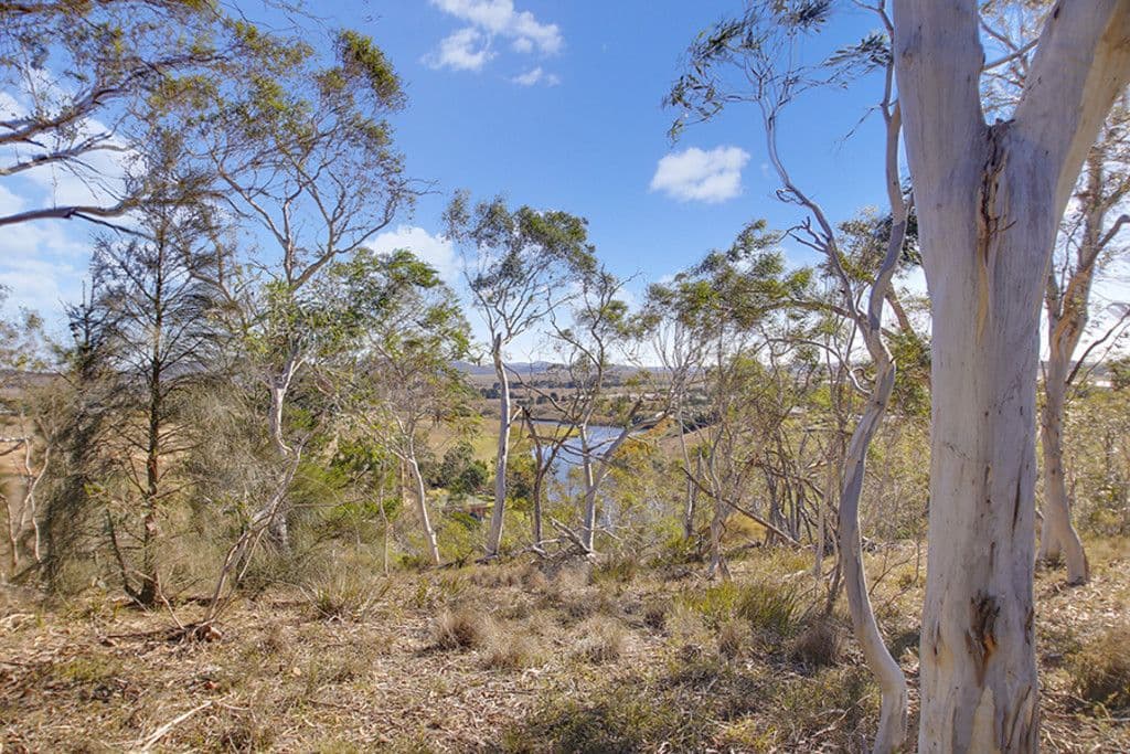 5 Thomas Place, Goulburn NSW 2580, Goulburn - Thumbnail 6