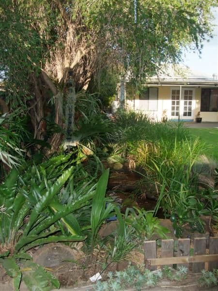 19 Jubilee Street, DUBBO NSW 2830, Dubbo - Thumbnail 6