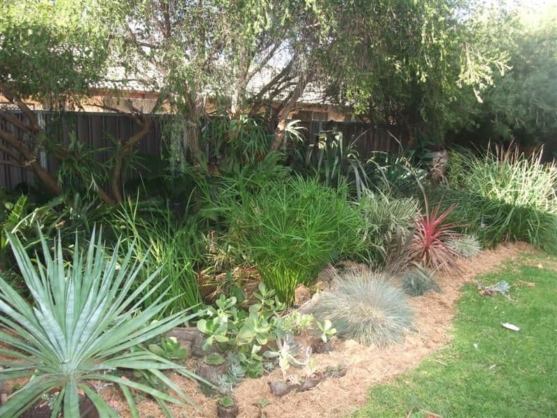 19 Jubilee Street, DUBBO NSW 2830, Dubbo - Thumbnail 8