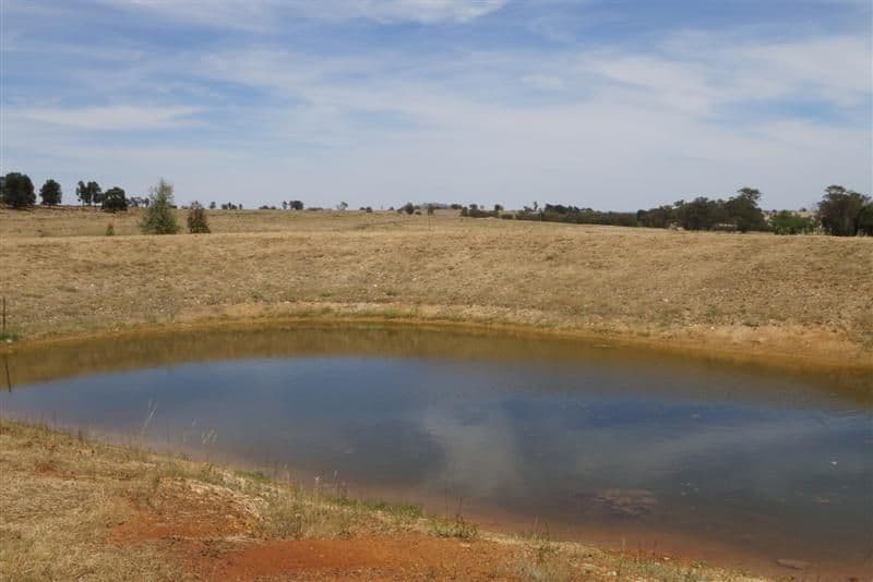606 Coomobella Road, Geurie NSW 2818, Geurie - Thumbnail 7