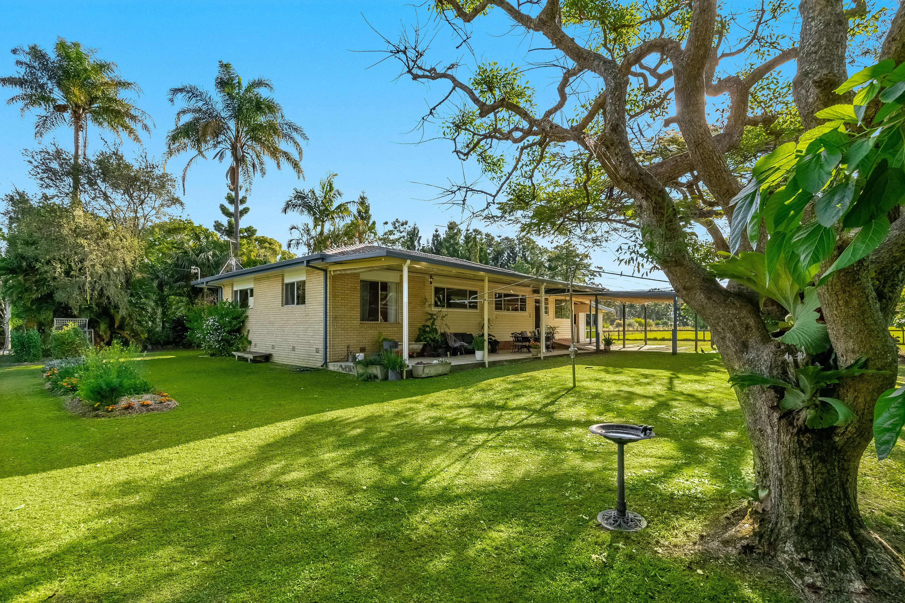156 Main Arm Road, Mullumbimby NSW 2482, Mullumbimby - Thumbnail 6