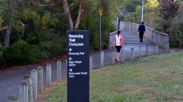 4 Allison Road, Mont Albert North VIC 3129, Mont Albert North - Thumbnail 6