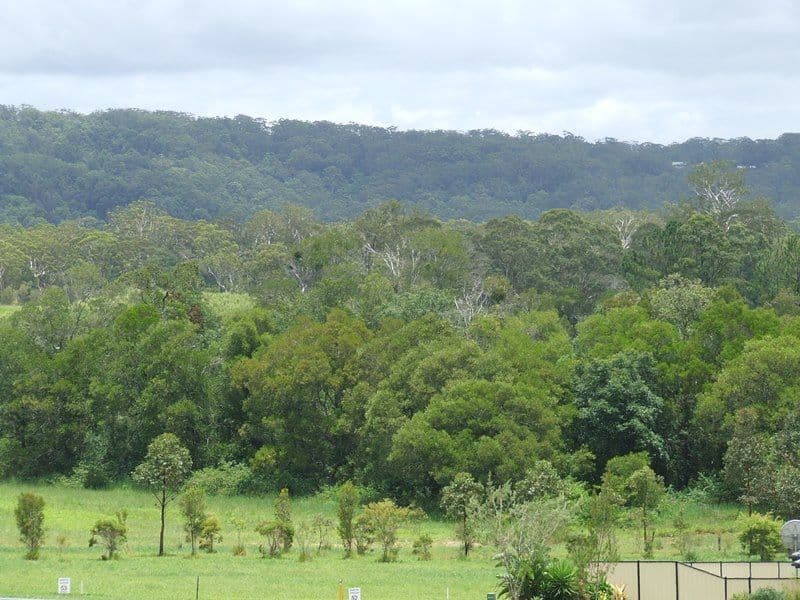 76 Lachlan Cresent, Beerwah QLD 4519, Beerwah - Thumbnail 2