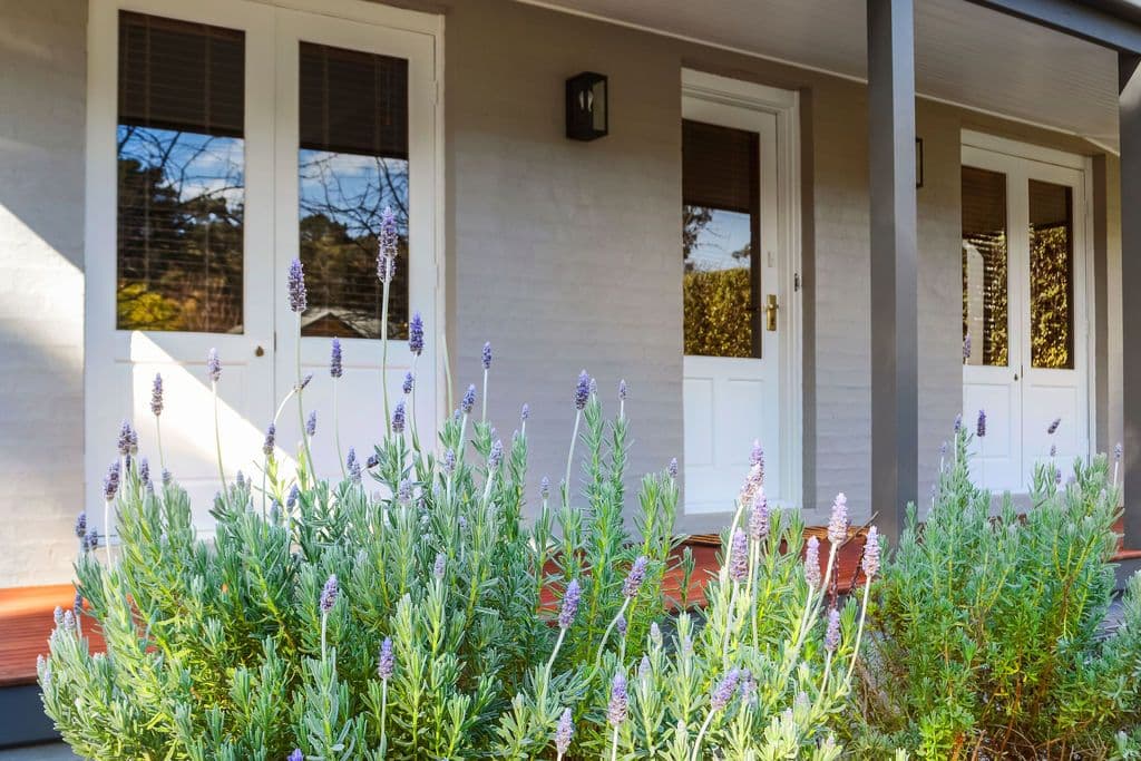 16 Evans Street, Mittagong - Thumbnail 2