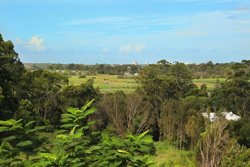 574 Petrie Creek Road, Rosemount QLD 4560, Rosemount - Thumbnail 6