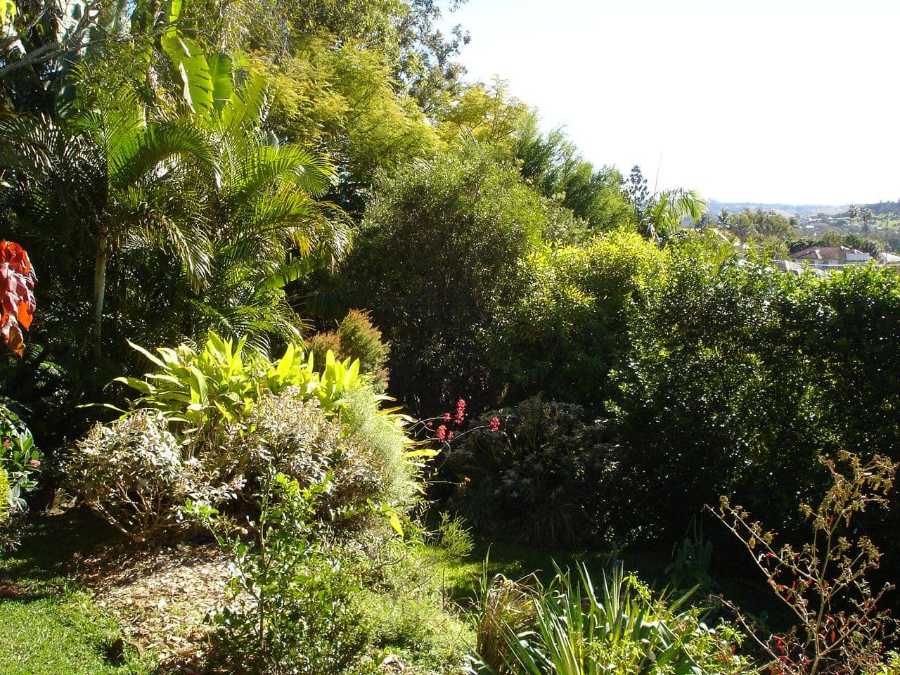 40 Esmonde Street, GIRARDS HILL NSW 2480, Girards Hill - Thumbnail 5