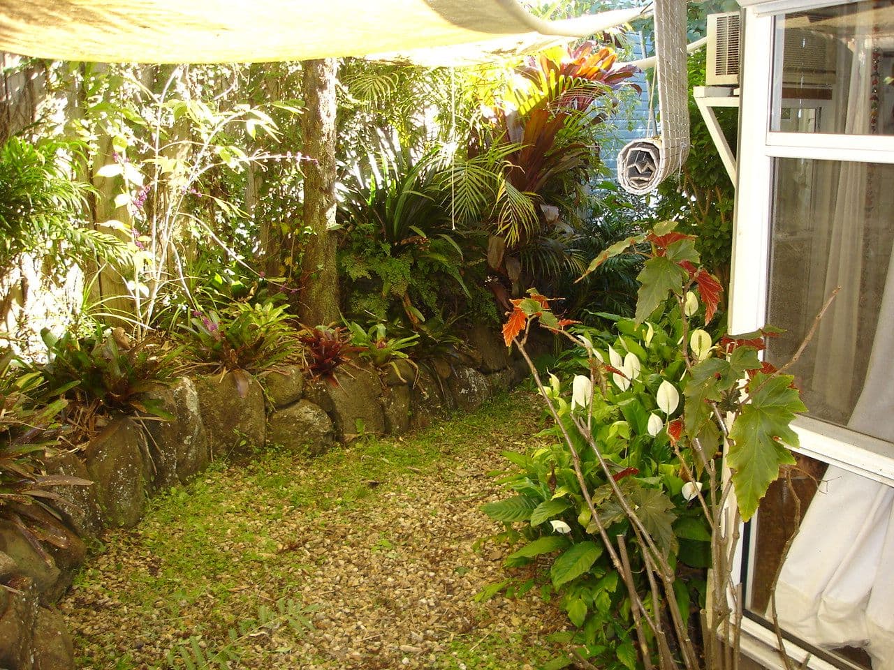 40 Esmonde Street, GIRARDS HILL NSW 2480, Girards Hill - Thumbnail 6