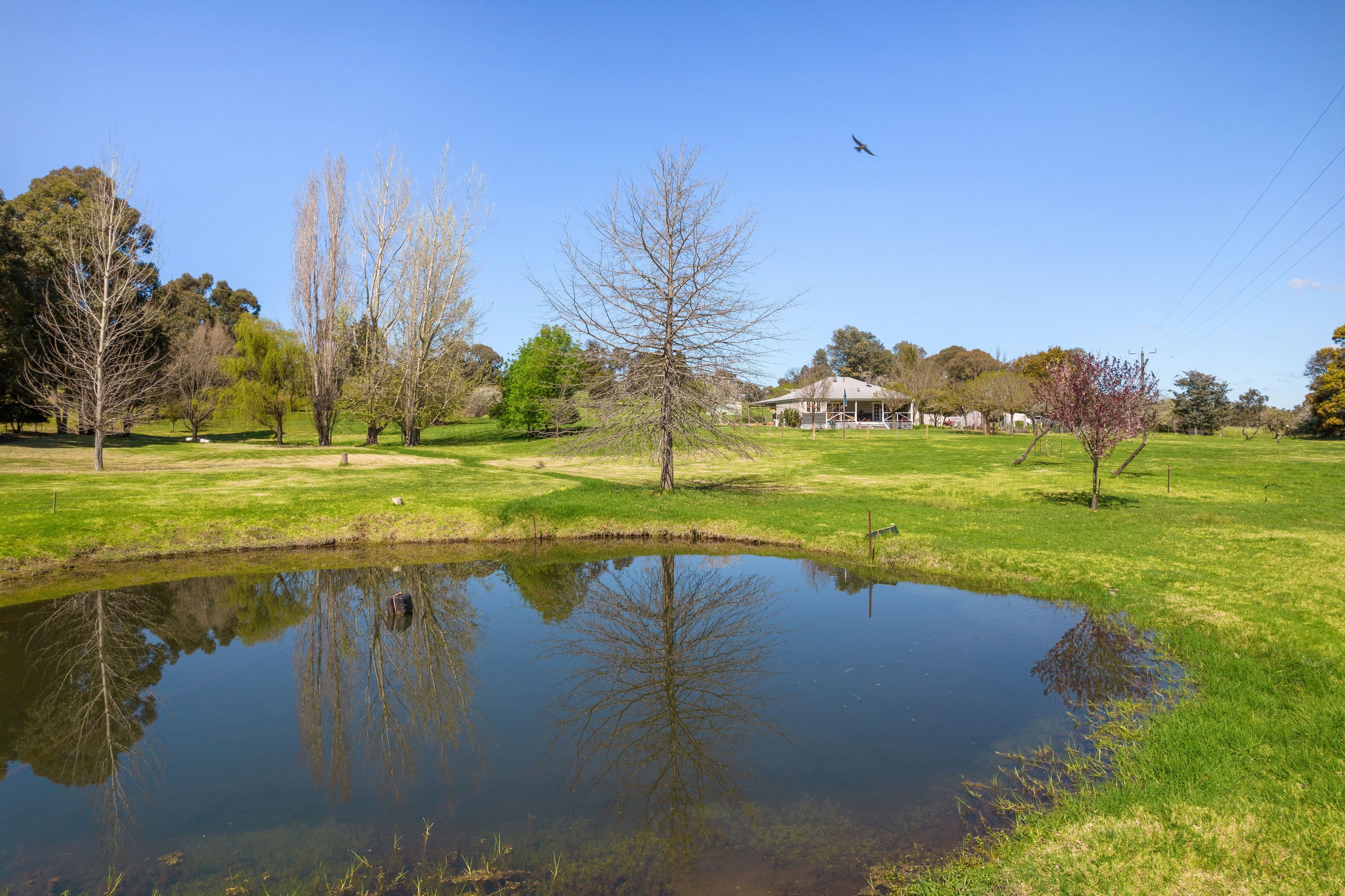 66 Grimwade Road, Balingup WA 6253, Balingup - Image 1