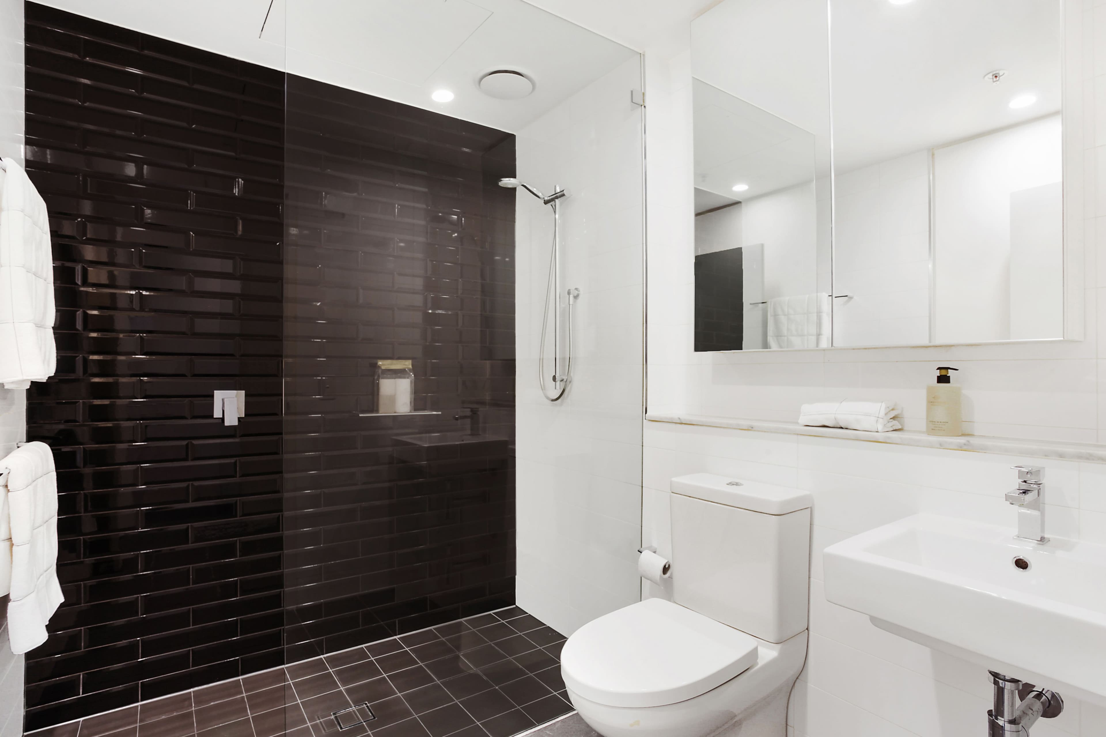 18 Bayswater Road, Potts Point NSW 2011, Potts Point - Thumbnail 6