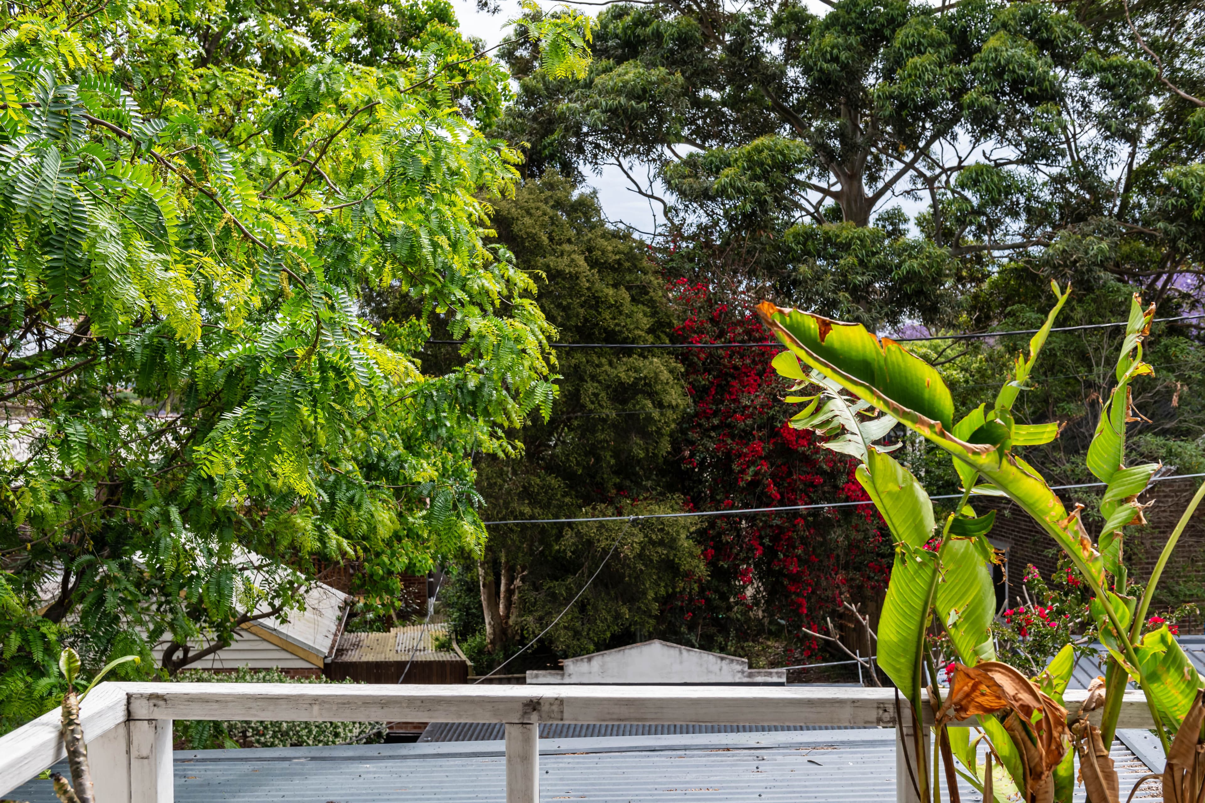 74A Crystal Street, Petersham NSW 2049, Petersham - Thumbnail 4