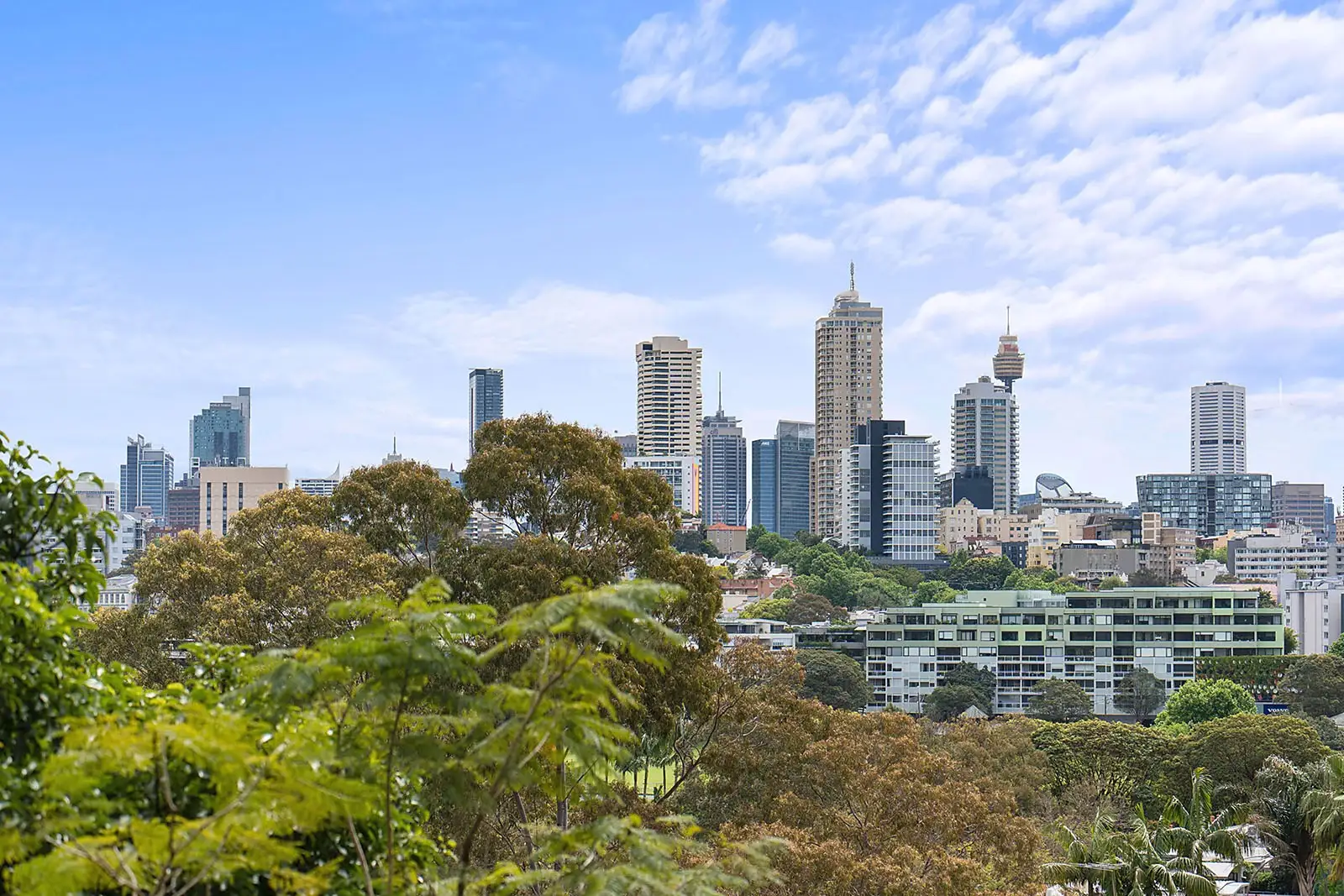 20 Hume Avenue Castle Hill, Castle Hill - Thumbnail 2
